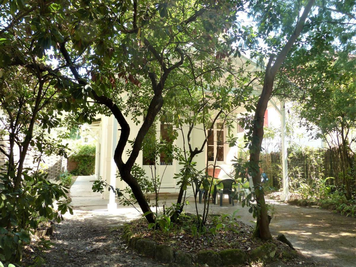 Charmante Villa, 100M De La Plage Pyla Sur Mer Ngoại thất bức ảnh